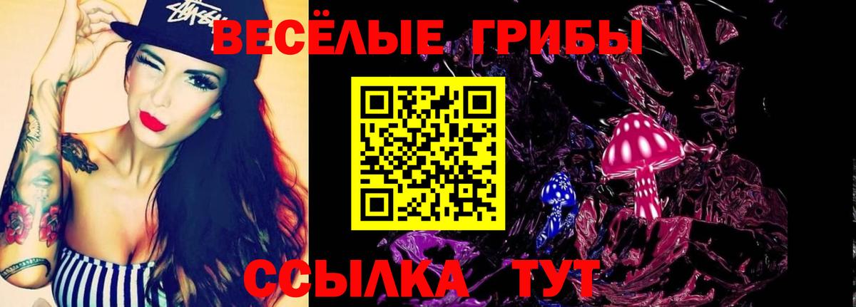 Туймазы  Псилоцибиновые грибы ЛСД  Вход с VPN 